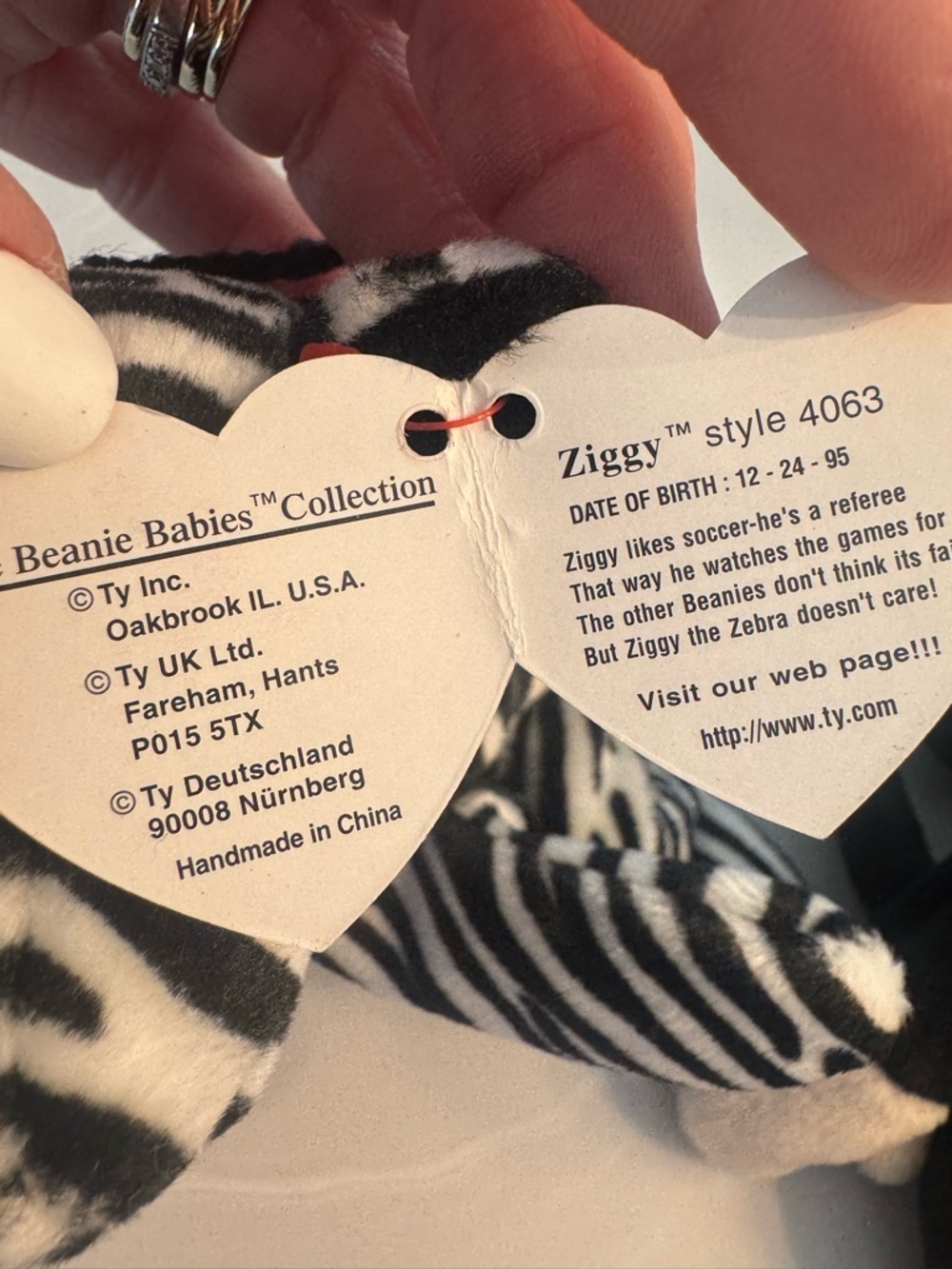 Ty Plush Bundle - Picture 14 of 15